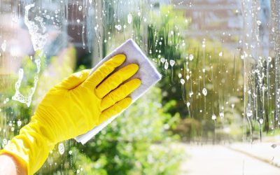 Spring Cleaning: Does Your Seasonal Refresh Include Mold Remediation?