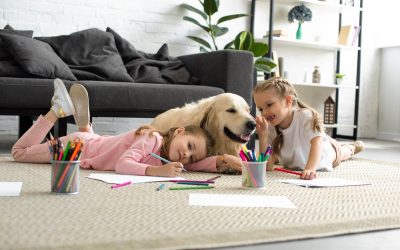 Dry Fogging: A Natural, Non-Toxic Solution to Mold