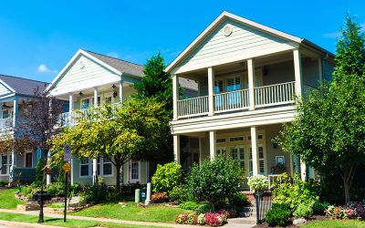 Indoor Air Quality and Mold: Essential Insights for a Healthy Home