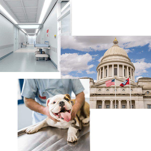 Pure Air of the Ozarks can help with Government and Medical Facilities keeping the air fresh and location mold free