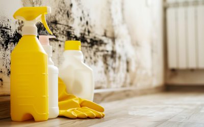 Why You Shouldn’t Use DIY Mold Removal Solutions